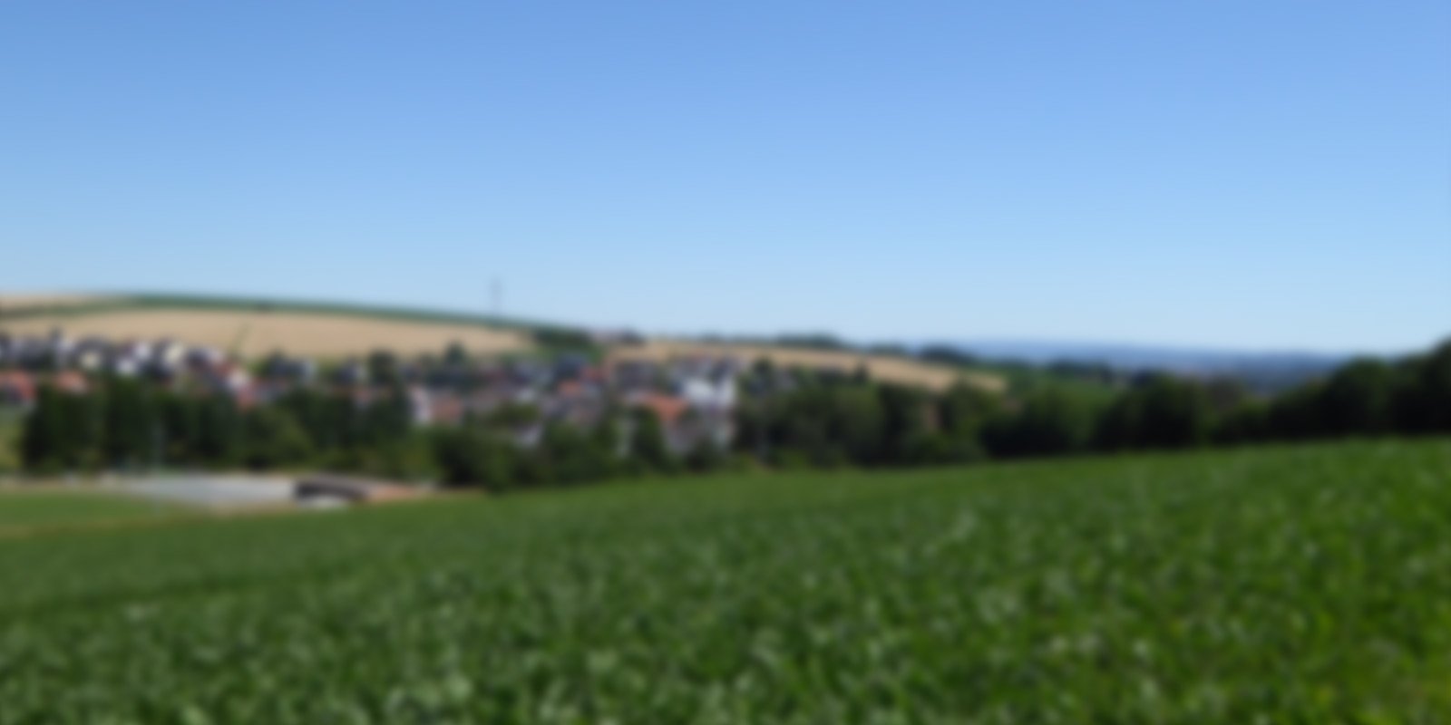Ansicht Feld Radheim