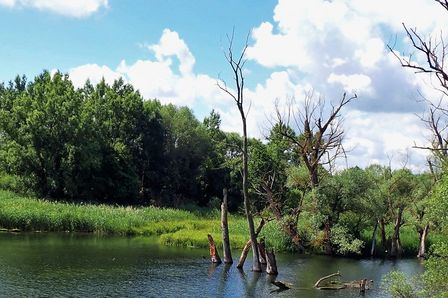 Zur Seite "Mit dem ZVG in die Zukunft – Wasserversorgung mit Konzept"
