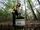 Frau arbeitet an Grundwassermessstelle im Wald