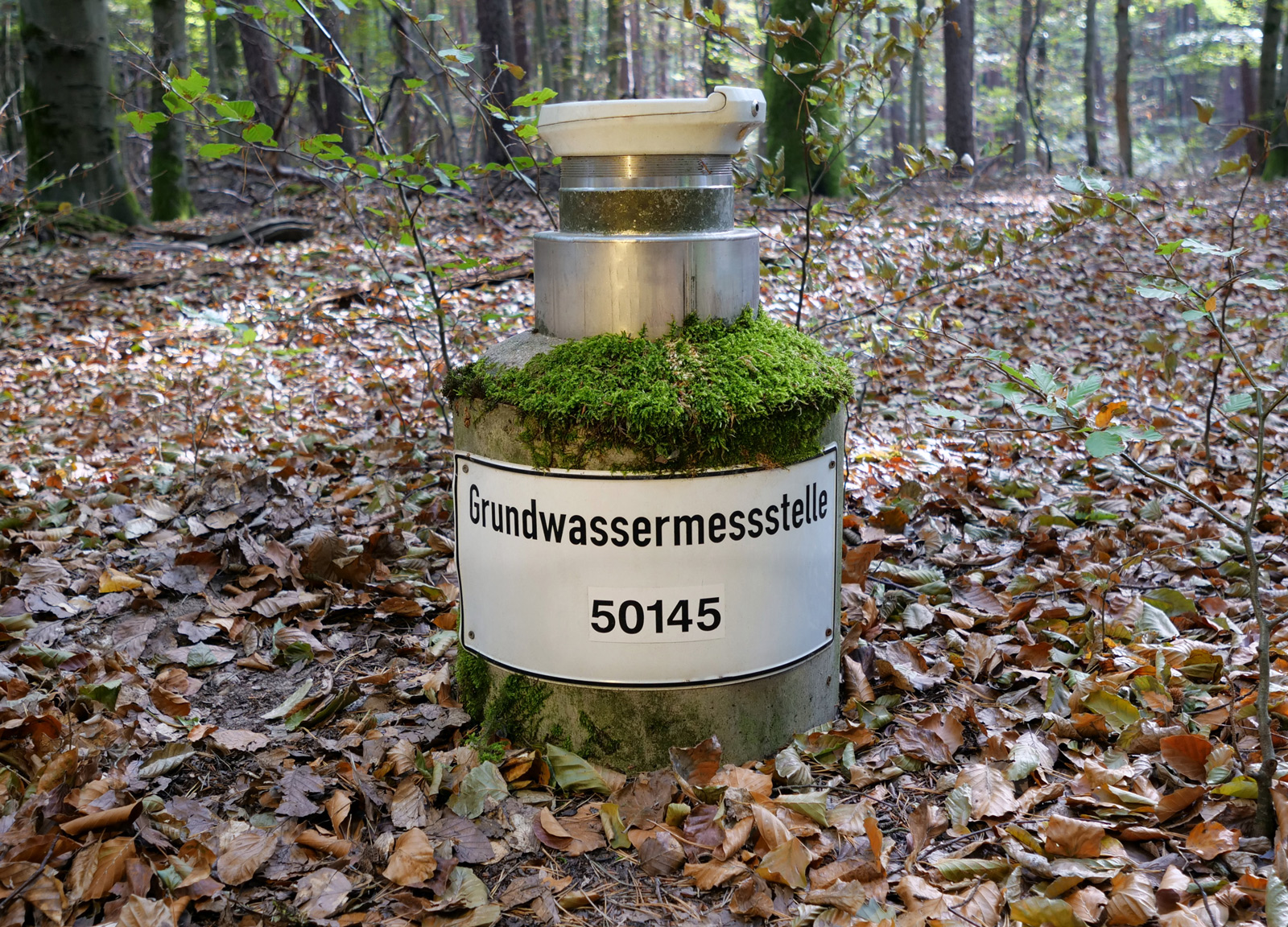 Grundwassermessstelle im Wald